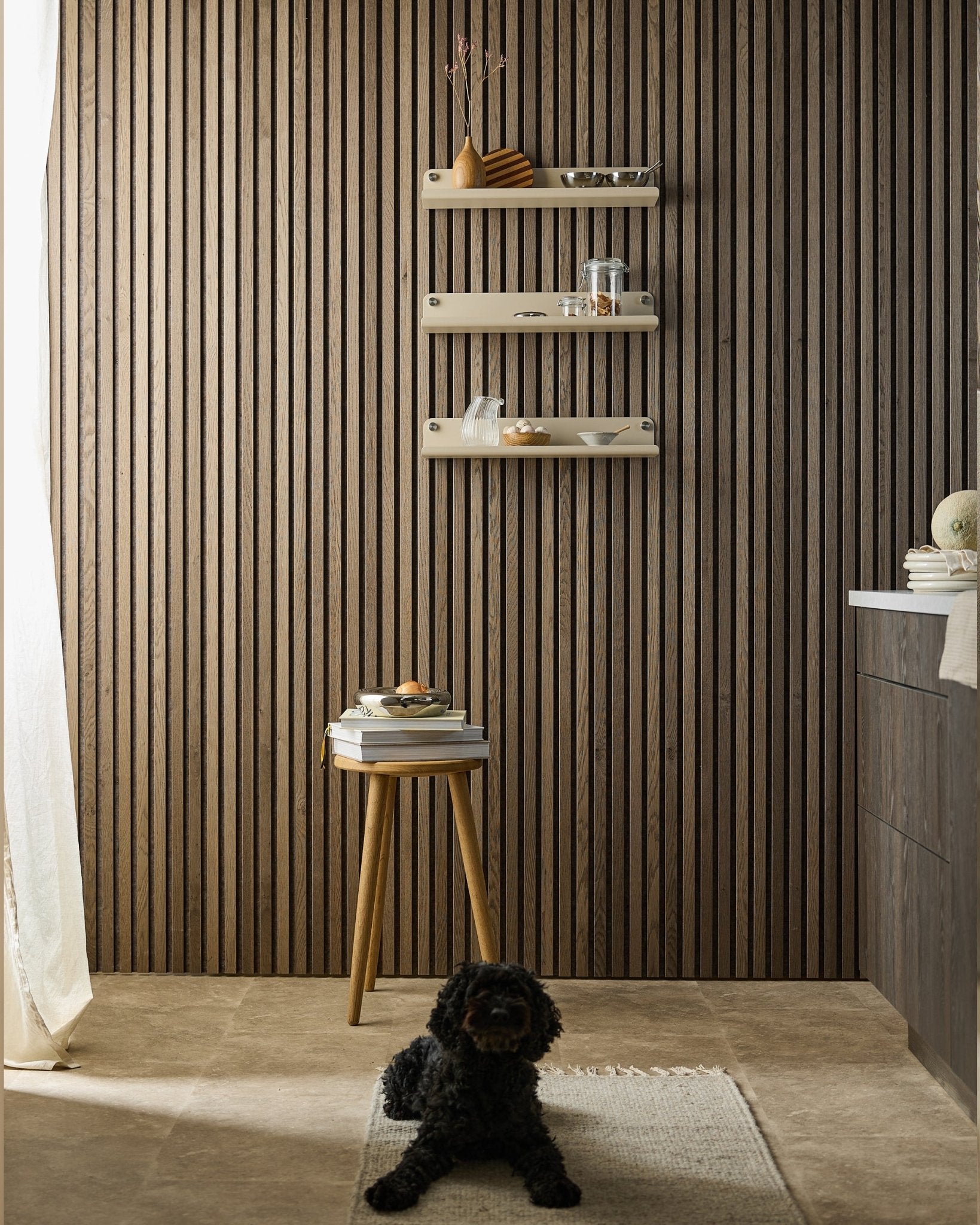 Pies black leży na dywanie w nowoczesnym wnętrzu z ścianą Akupanel Panel akustyczny, szeroką półką WoodUpp Norr beige (51,9 cm), stołkiem z książkami i miękkim światłem.